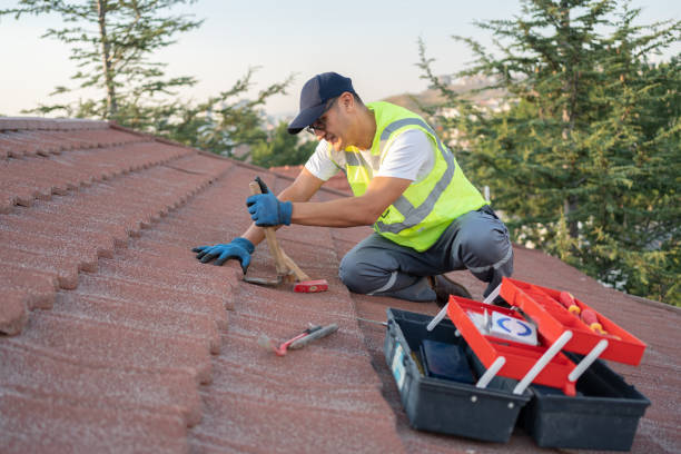 Best Roof Gutter Cleaning  in Flower Mound, TX